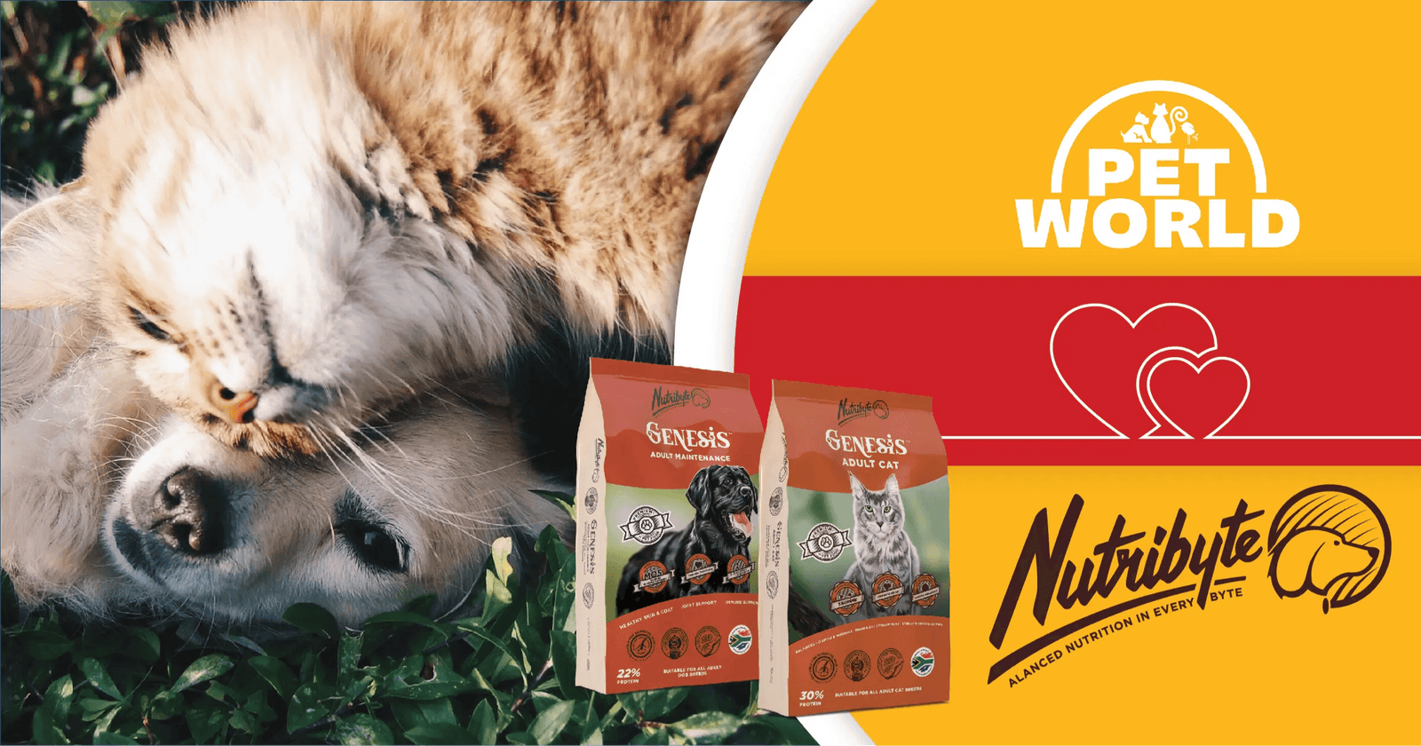 Empowering Pet Owners: Petworld & Nutribyte Take Centre Stage - Petworld