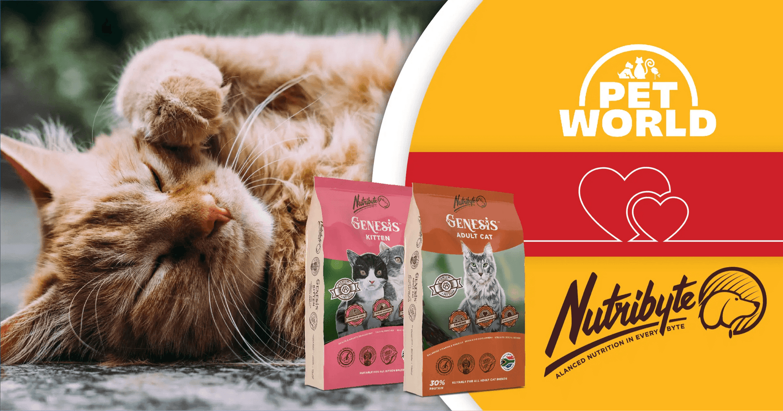Petworld & Nutribyte Unite – It’s a Cat’s World! - Petworld