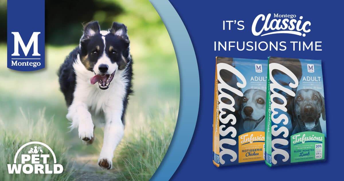 It's Montego Classic Infusion Time! - Petworld