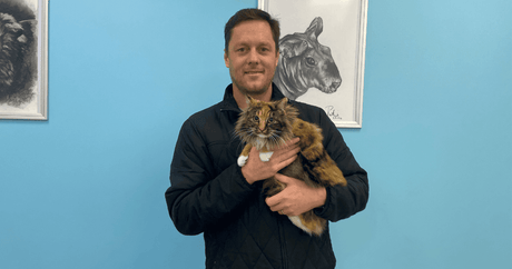 Meet Dr Daniël Venter: A Devoted Professional Who Speaks 'Dog' and 'Cat'! - Petworld