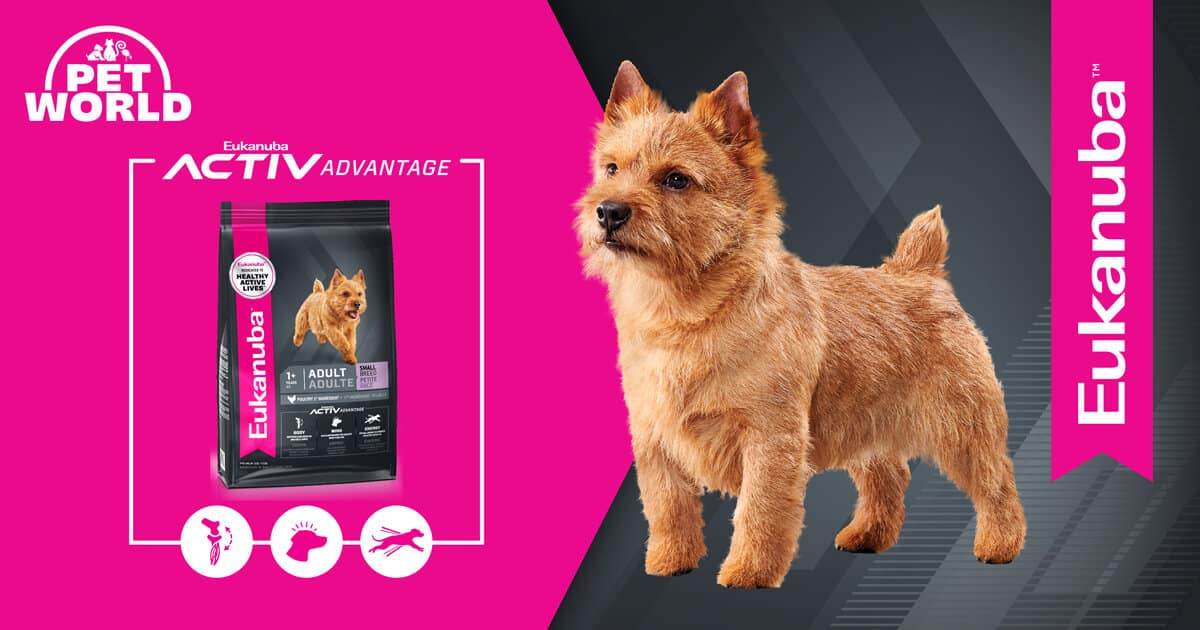 Unleash Your Small Doggo's Potential with Eukanuba Active Advantage Small Breed Dog Food - Petworld