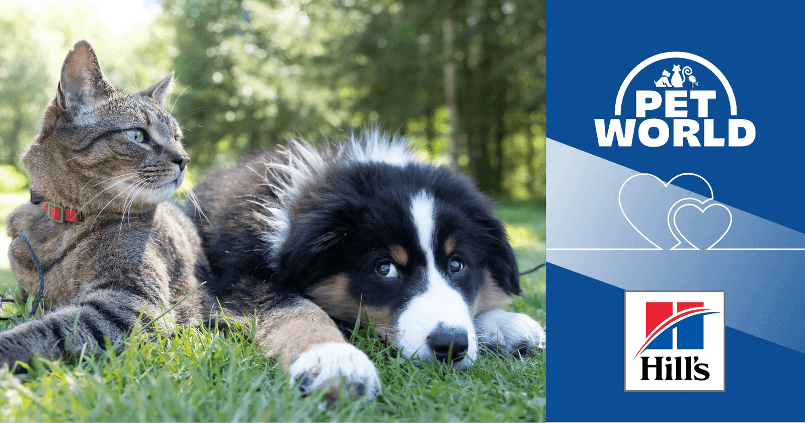 Insuring Optimal Pet Care & Nutrition: Hill's Science Plan & Petworld's Unprecedented Partnership - Petworld