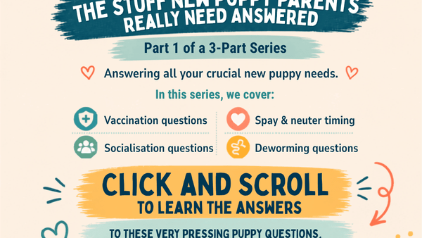 NEW PUPPY? START HERE.