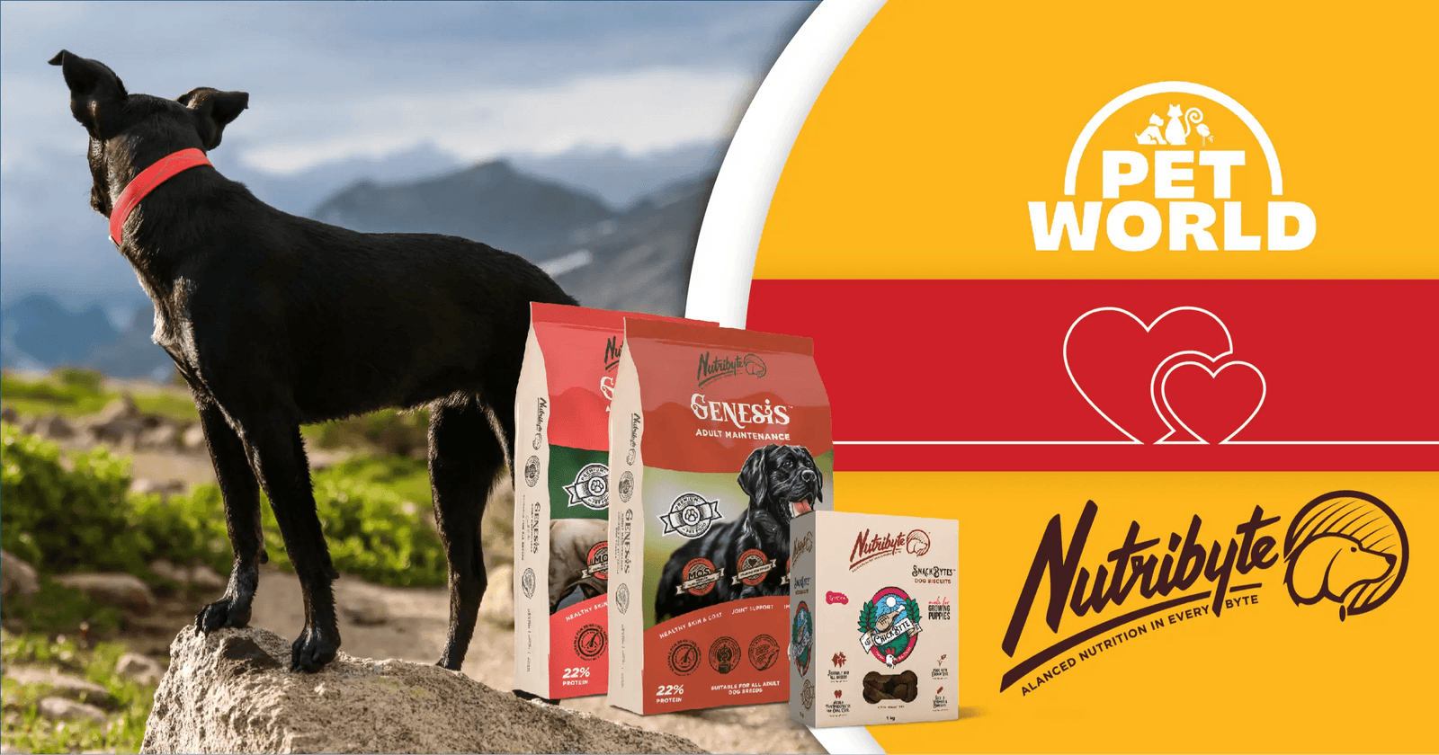 Petworld & Nutribyte Join Forces in Canine Care Partnership - Petworld