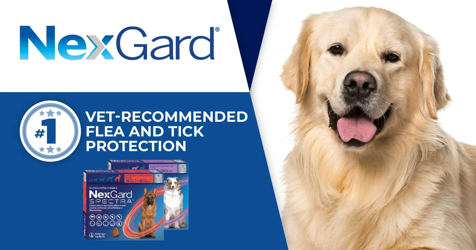 Strengthening Pet Health: Petworld & NexGard Spectra Link Up - Petworld