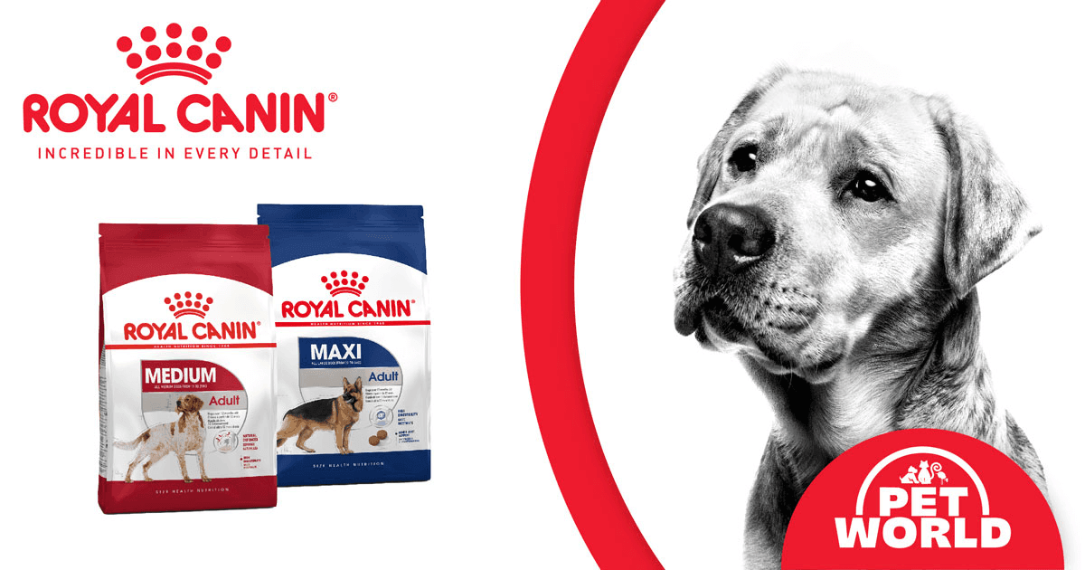 Unleashing Optimal Nutrition: Exploring Royal Canin Medium and Maxi Dry Dog Food - Petworld