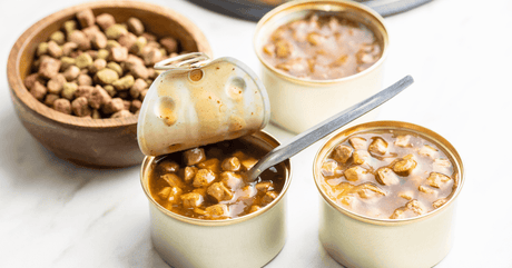 Cat Food Face-Off: Wet vs. Dry Cat Food Explained - Petworld