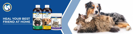 Expertise & Nature: The Petworld and Regal Pet Health Partnership - Petworld