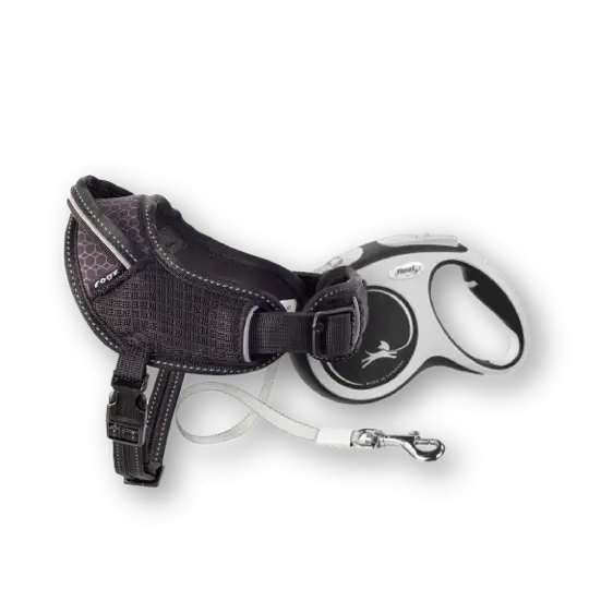 Pet leads and collars clearance