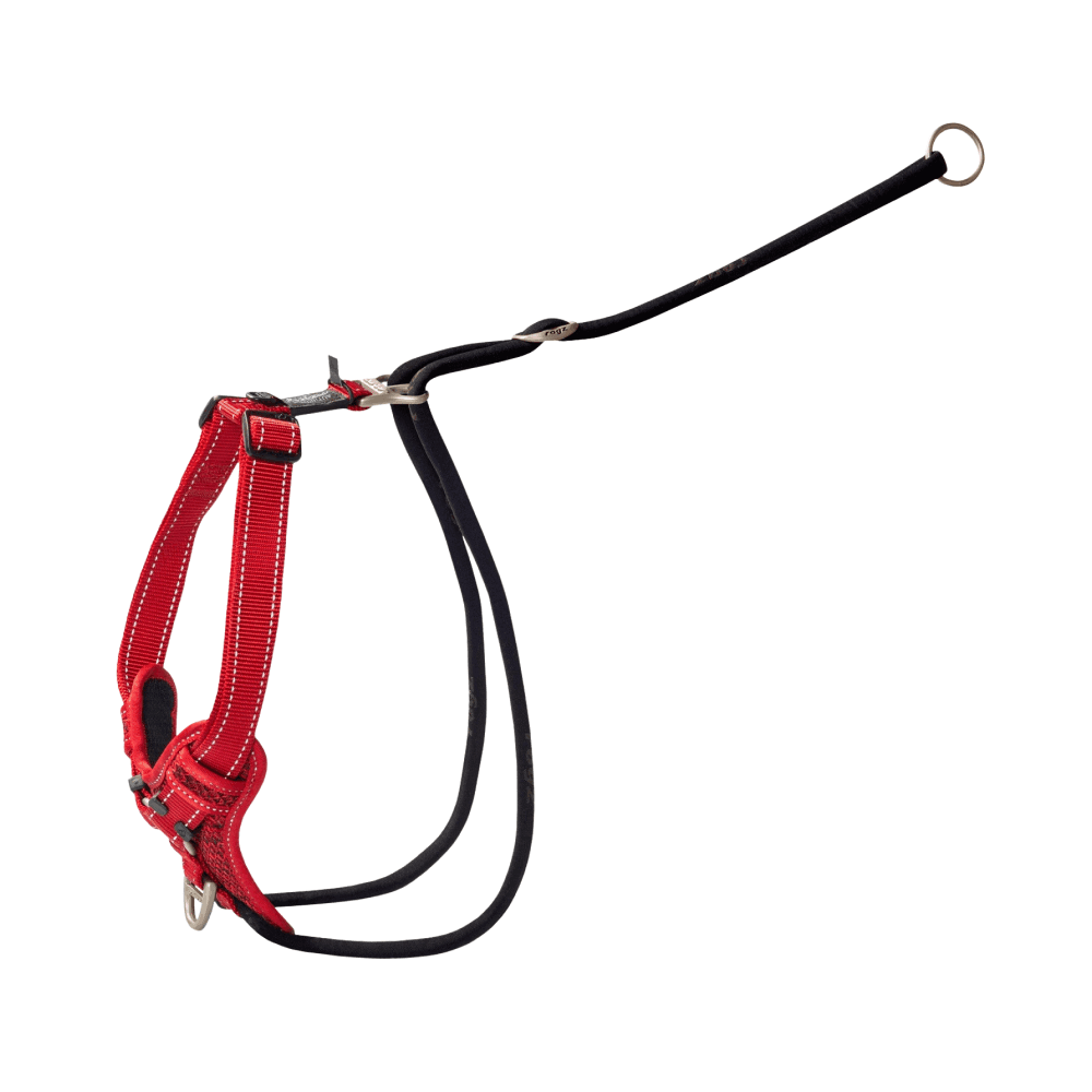 Rogz Utility Stop Pull Harness Red - Petworld