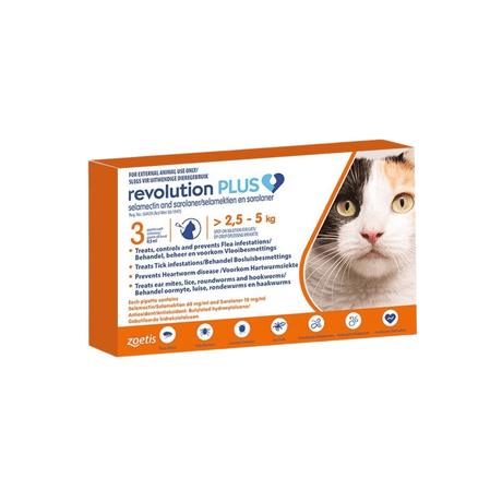 Revolution Plus Cats 2.6 to 5kg Orange Single