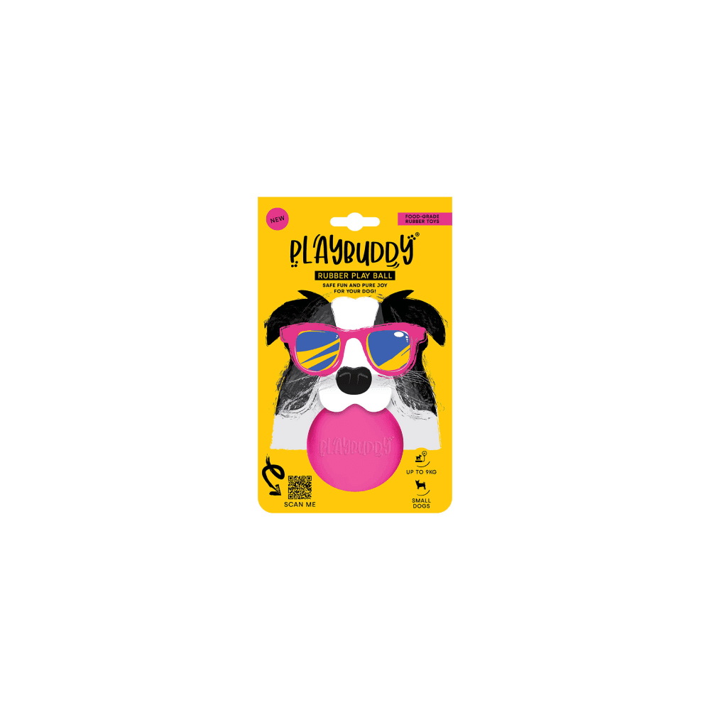 Playbuddy Ball Small Pink Dog Toy - Petworld