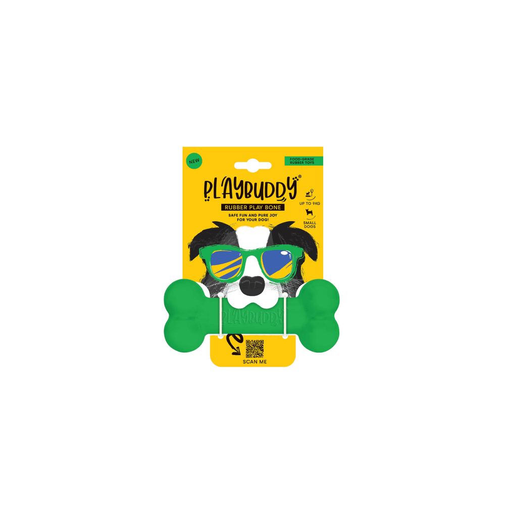 Playbuddy Bone Small Green Dog Toy - Petworld