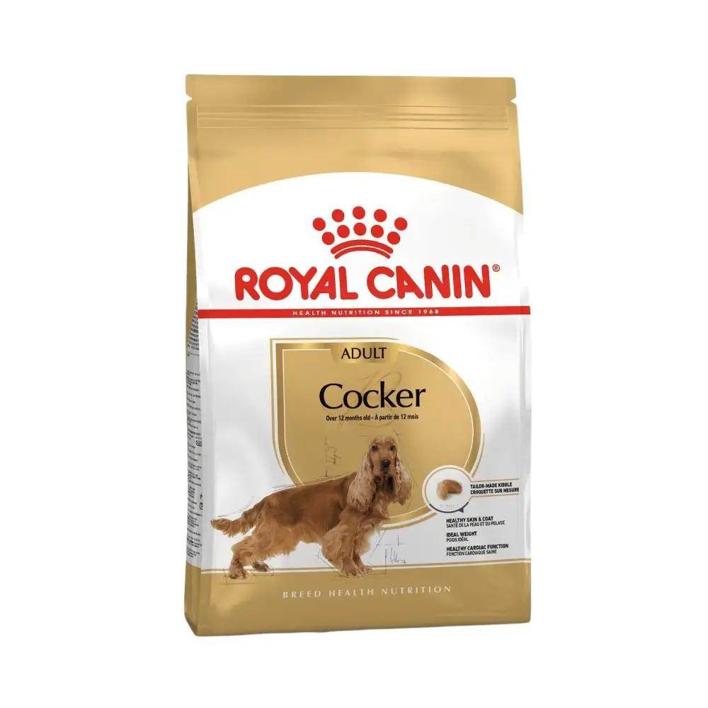 Royal Canin Breed Health Nutrition Cocker Spaniel Adult Dry Dog Food 12kg - Petworld