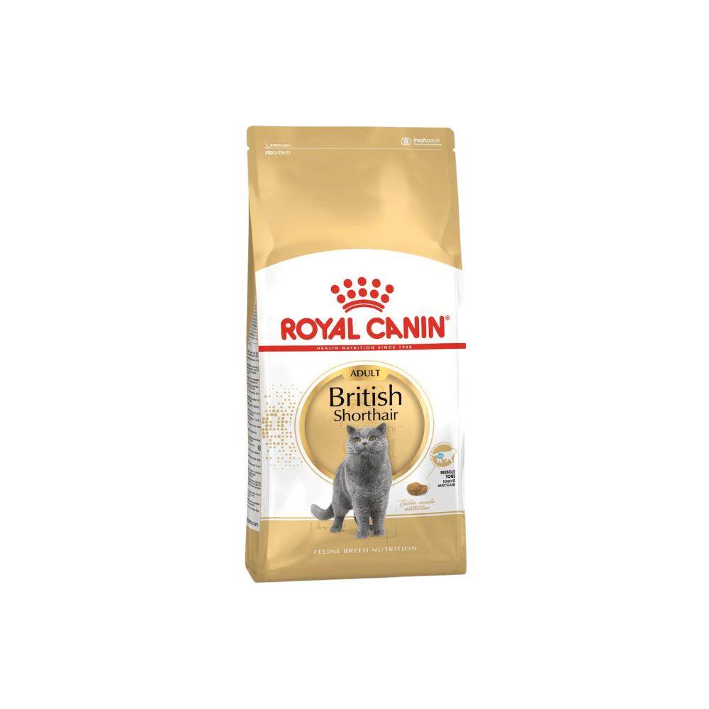 Royal Canin Feline Breed Nutrition British Shorthair Adult Dry Cat Food - Petworld