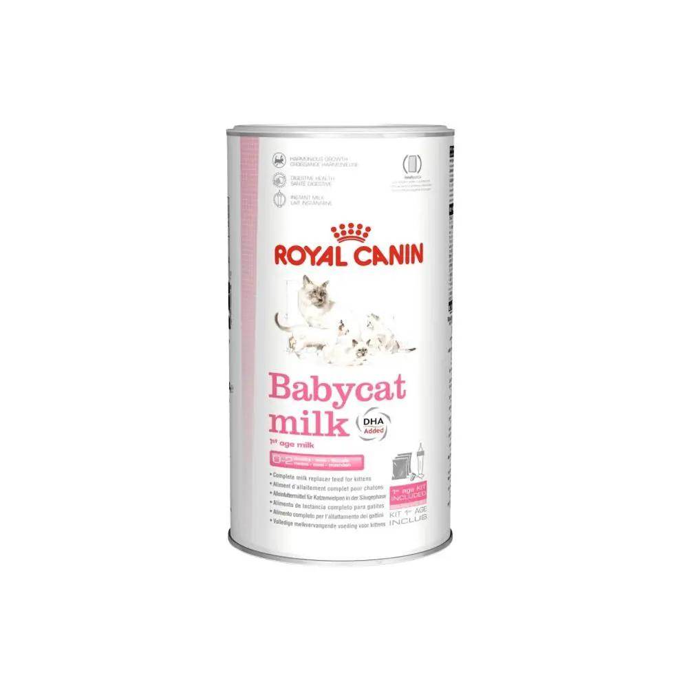Royal Canin Baby Kitten Milk Wet Cat Food 300g - Petworld