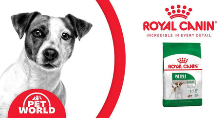 Small Size, Big Nutrition: Royal Canin Mini Range Dry Dog Food - Petworld