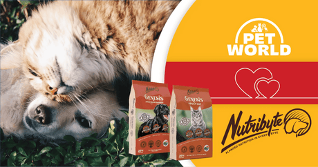 Empowering Pet Owners: Petworld & Nutribyte Take Centre Stage - Petworld