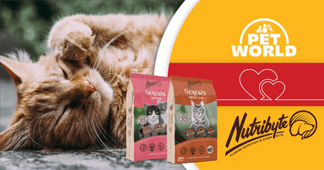Petworld & Nutribyte Unite – It’s a Cat’s World! - Petworld
