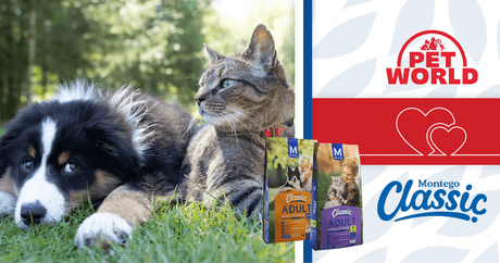 Montego & Petworld: Classic Pet Nutrition Dream Team - Petworld