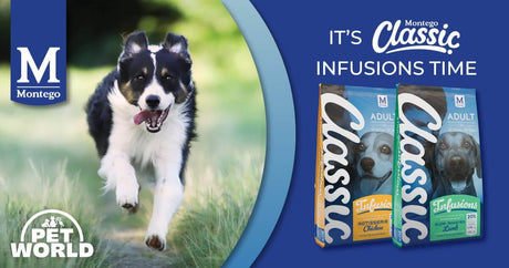 It's Montego Classic Infusion Time! - Petworld