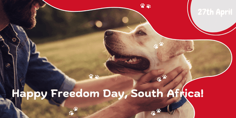 Freedom Day: A Time to Reflect on the Freedom of Our Voiceless Friends - Petworld