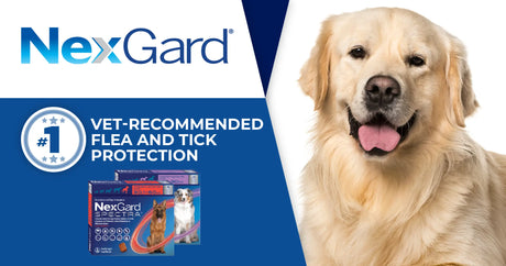 Strengthening Pet Health: Petworld &amp; NexGard Spectra Link Up