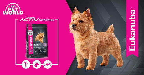Unleash Your Small Doggo's Potential with Eukanuba Active Advantage Small Breed Dog Food - Petworld