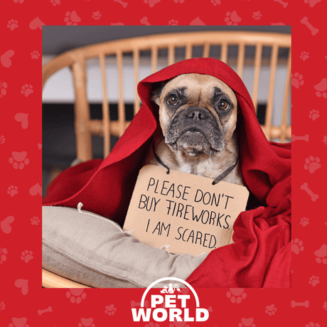 Keeping Your Pets Safe During Fireworks: A Comprehensive Guide - Petworld