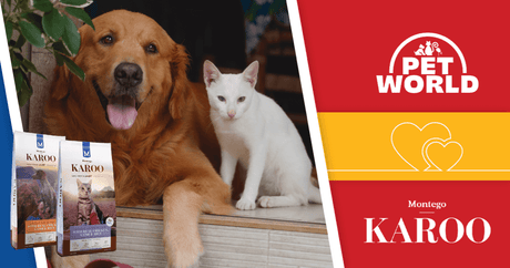 Montego Karoo Pet Food South Africa: A Proudly South African Premium Pet Food Brand