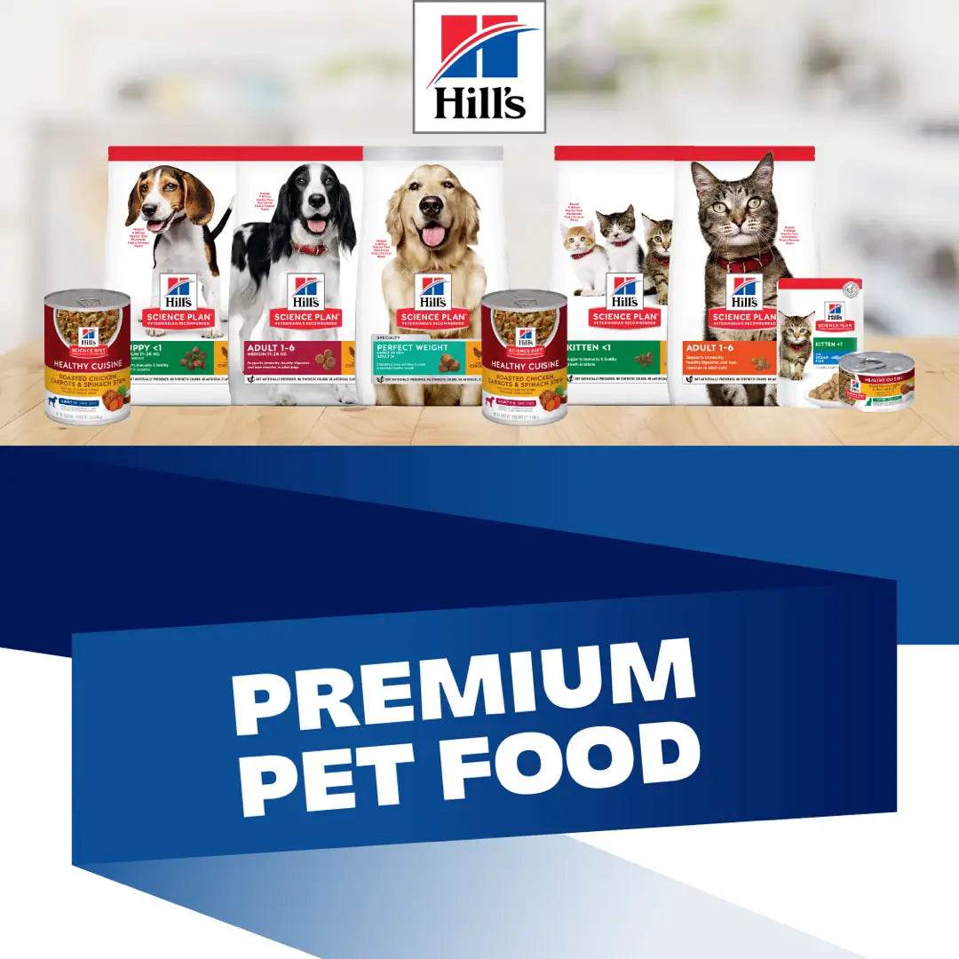 The Secret to a Smart Pup? It Starts with What’s in the Bowl. - Petworld