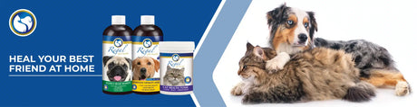 Expertise &amp; Nature: The Petworld &amp; Regal Pet Health Partnership