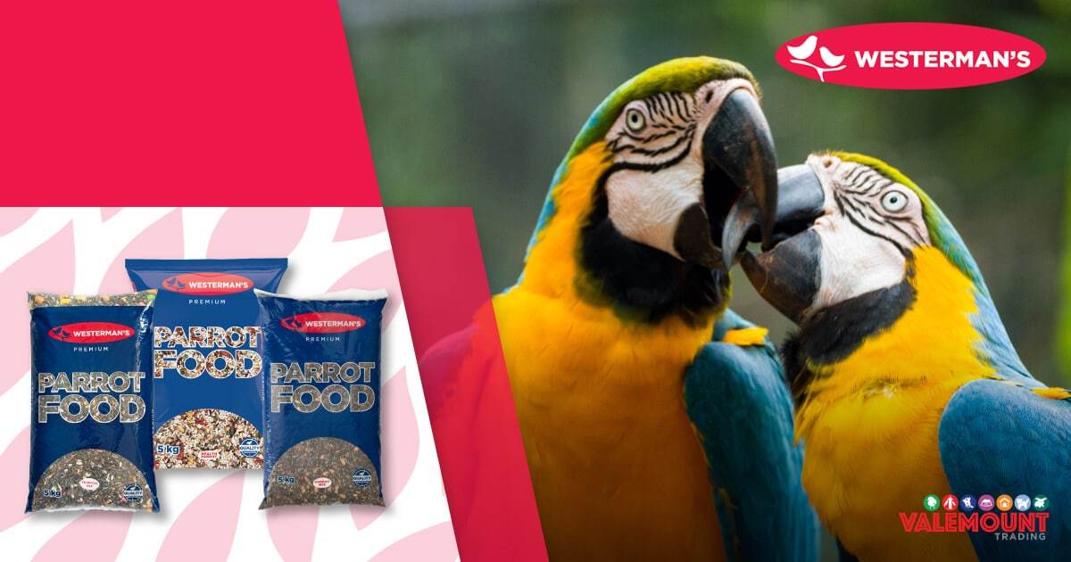 Triple the Charm, Triple the Nutrition: Parrots Powered by Westerman's! - Petworld