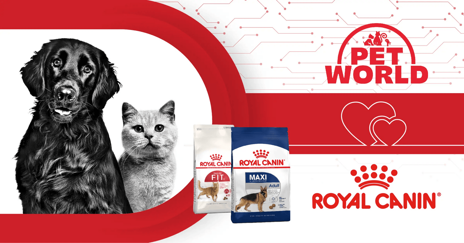 Petworld Partners with Royal Canin: A Giant Step Forward for Pet Nutrition &amp; Care - Petworld