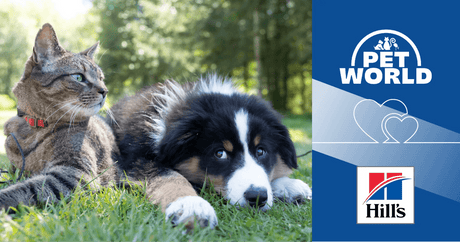 Insuring Optimal Pet Care & Nutrition: Hill's Science Plan & Petworld's Unprecedented Partnership - Petworld