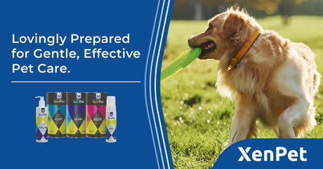 XenPet &amp; Petworld: A Powerhouse Partnership for Pet Wellness