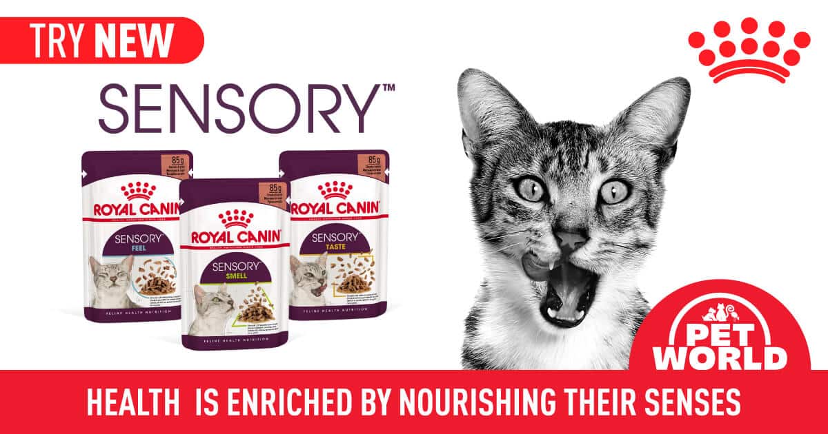 Celebrating the Sensory Delight: Royal Canin's Sensory™ Wet Range for Cats