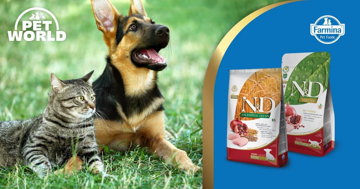 Above & Beyond the Ordinary: The Petworld-Farmina Joint Venture - Petworld
