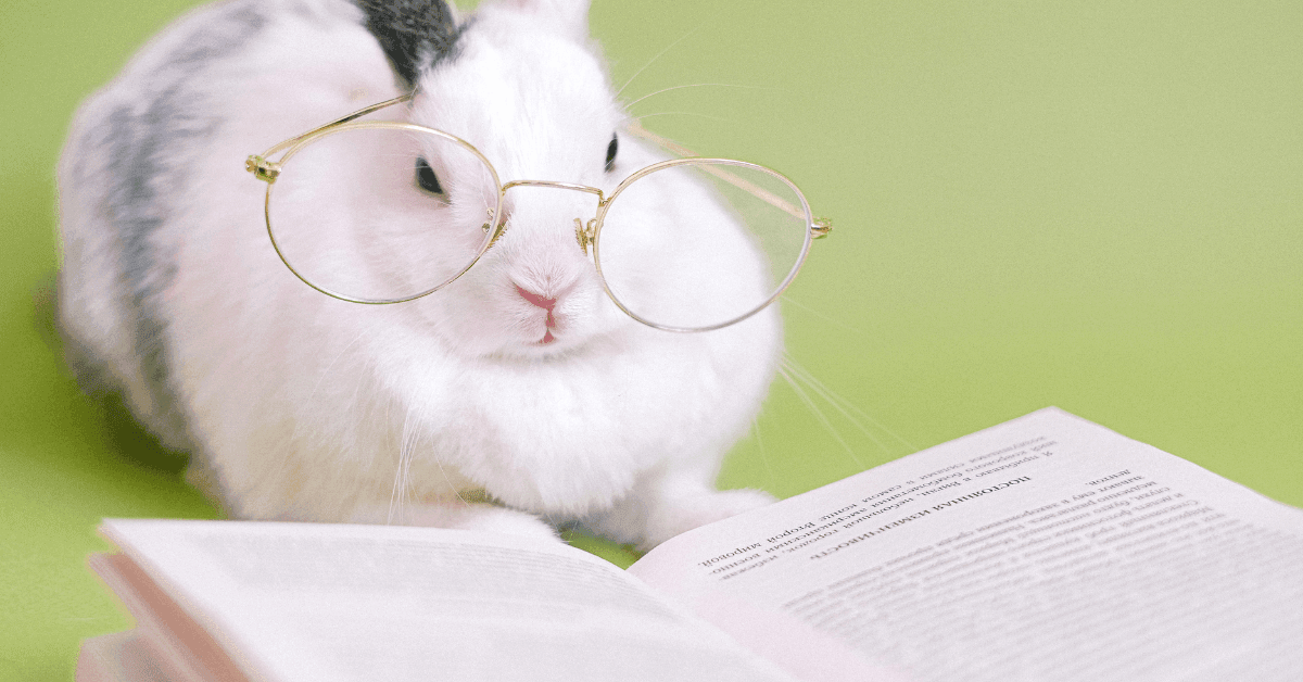 Exclusive Report: The Pet Revolution is Closer Than We Think – Experts Warn That the Only Thing Holding Them Back is Thumbs - Petworld