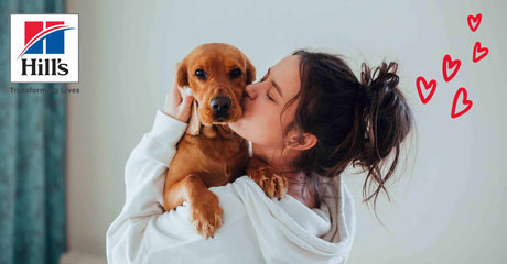 Show Your Love With Hill's Pet Nutrition