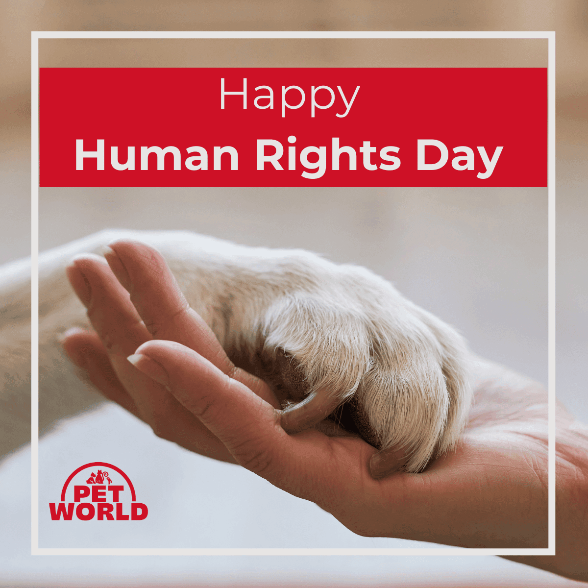  Stand Up for Animal Rights: Let’s Unite for Animal Welfare - Petworld