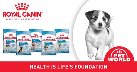 Royal Canin Puppy Food: Building Strong Foundations for Your Pup