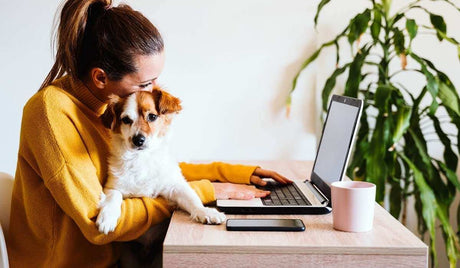 Back To Work: Helping Your Pet Adjust