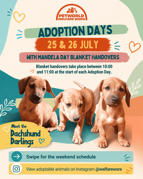 Adoption Days Are Here: Hope Is Waiting in-Store, 25 and 26 July 2026