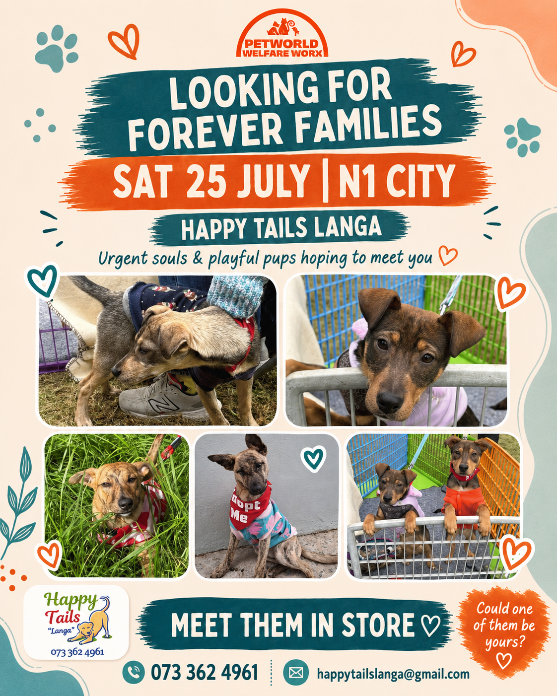 Looking for Forever Families: Scroll to Meet Adoption Day Pets 