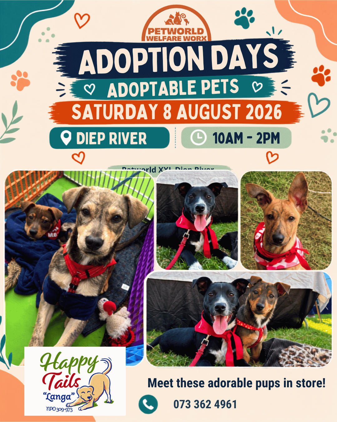 Teenage Puppies Ready for Their Forever Families
