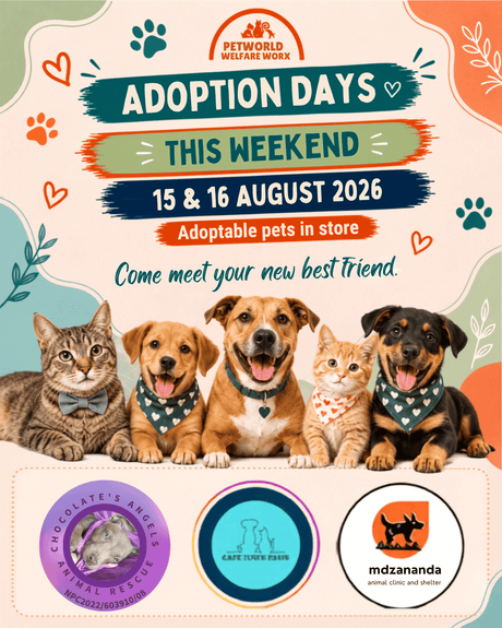 Adoption Day Programme: 15 and 16 August, 2026