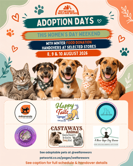 Women's Day Long Weekend Adoption Days and Donations Events