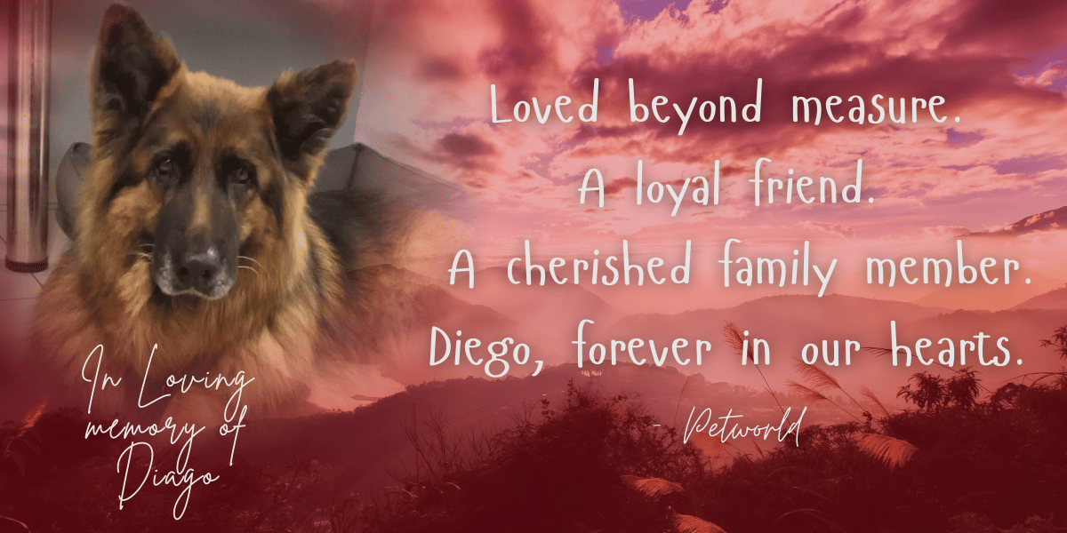 A picture of Diego with a loving remembrance message.