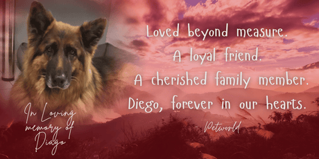 A picture of Diego with a loving remembrance message.
